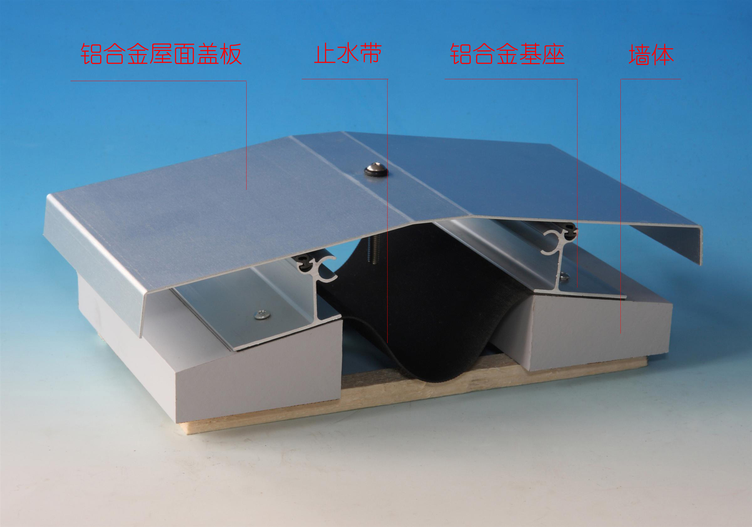 屋面变形缝CA.jpg